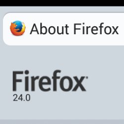 Firefox Android v24