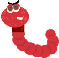 worm