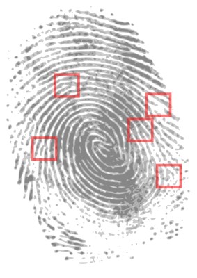 iphone fingerprint reader