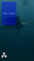 sailfish-active-frame-3