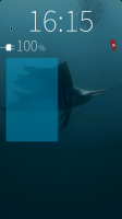 sailfish-active-frame