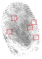 fingerprint-sensor