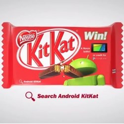 google and kitkat vs apple