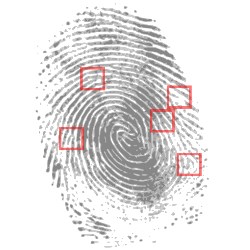 iPhone 5s fingerprint reader